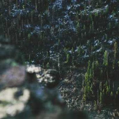 Gucci GG Marmont Belt